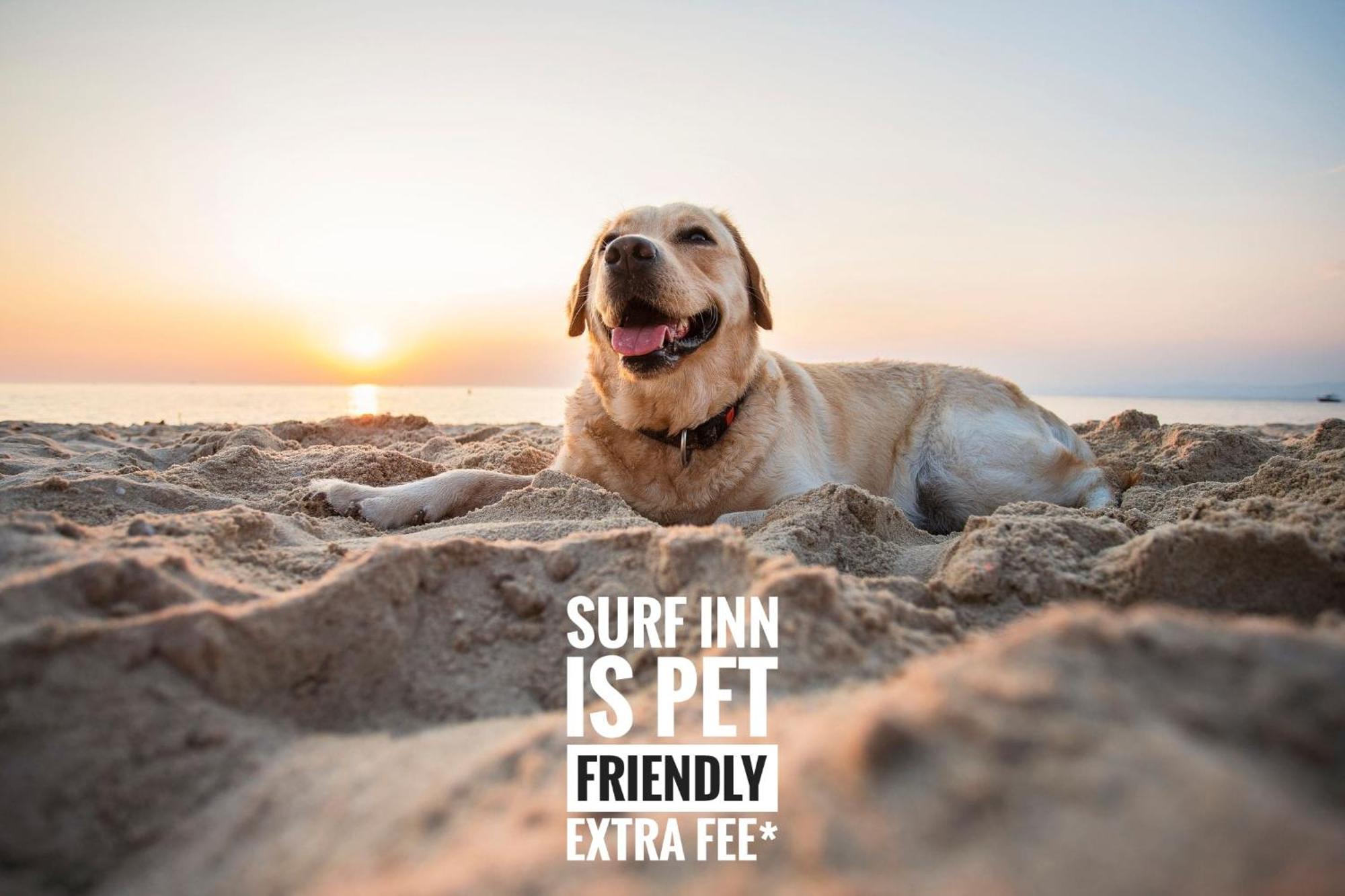 Surf Inn Klaipeda Ngoại thất bức ảnh